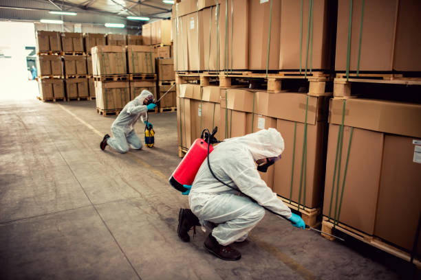 Best Pest Prevention Services  in Hodgkins, IL