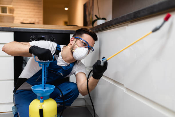 Best Wildlife Control Services  in Hodgkins, IL