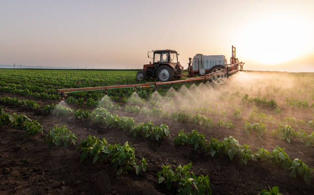 Best Pest Control Near Me in Hodgkins, IL
