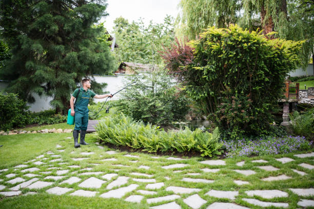 Best Affordable Pest Control Services  in Hodgkins, IL