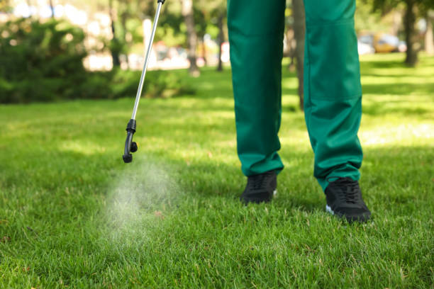 Best Pest Removal Services  in Hodgkins, IL