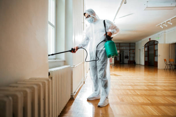 Best Bed Bug Extermination  in Hodgkins, IL