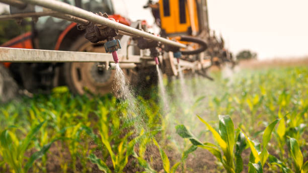 Best Local Pest Control Services  in Hodgkins, IL